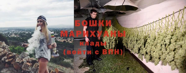 твердый Абаза