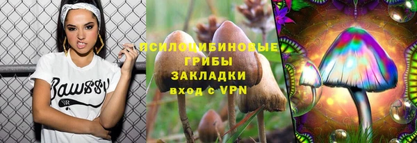 твердый Абаза