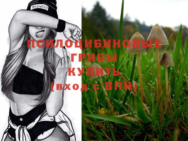 герыч Абинск
