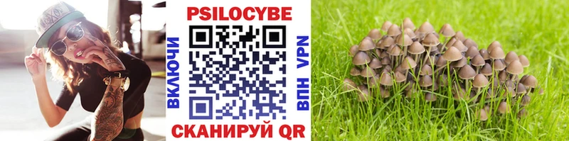 Псилоцибиновые грибы прущие грибы  наркотики  кракен tor  Магнитогорск 